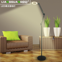 Crown Canopy Floor Lamp Beauty Salon Book Room Piano Living Room Bedroom Embroidered Fingernail Modern Minima With Magnifier