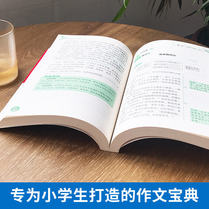 小学生优秀满分作文书 图4