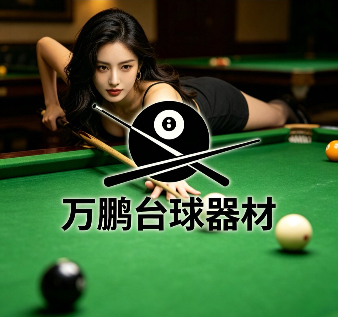 万鹏台球器材