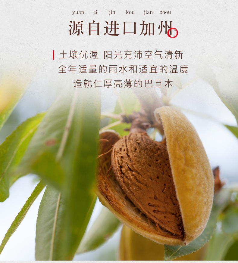 姚生记 美国加州巴旦木仁 150g*2袋 图4