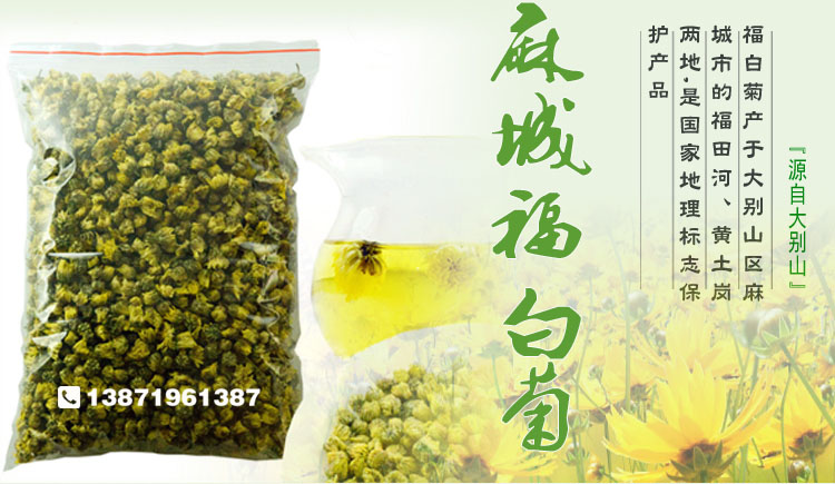 麻城胎菊批发 福田河散装胎菊王批发 福白菊胎菊花土特产菊花茶