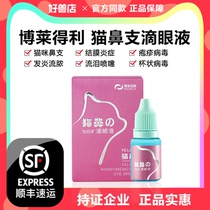 Bolleitley cat nose eye drops lacerary cat eyes pleasant net drops of nasal fluid eye drops to anti-inflammatory kittens