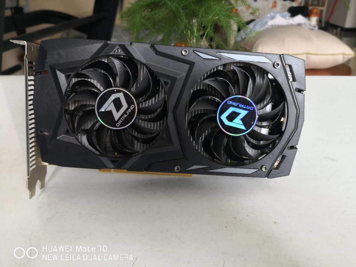 DATALAND Dylan Evergrande RX460 4G Desktop computer computer electric race to eat chicken game Black Apple free of drive