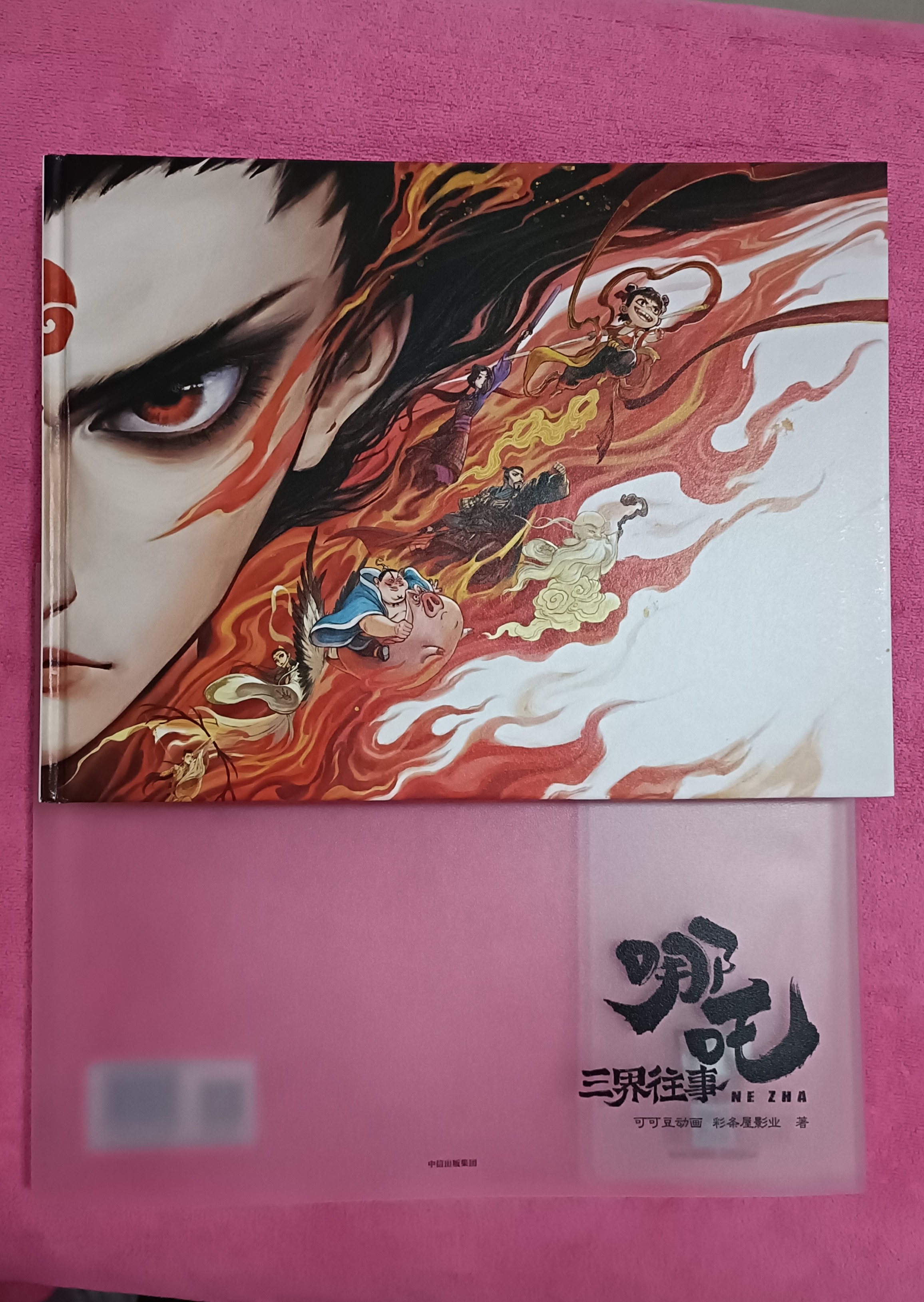 O1CN01wLXDnI2LY24SS6rkL_!!