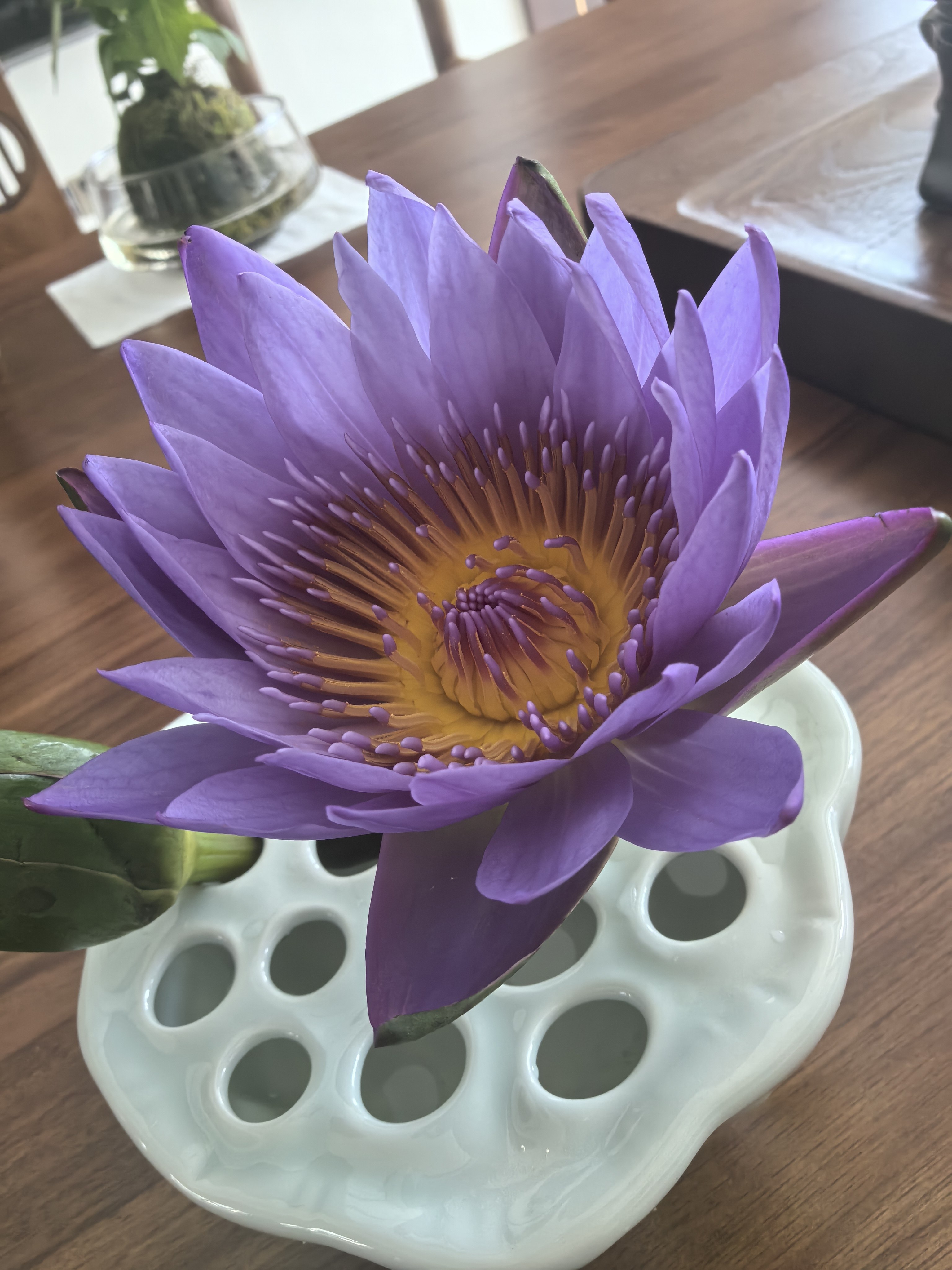 青釉陶瓷蓮蓬花器中式禪意花瓶插花器日式創意花盤-Taobao-Tmall