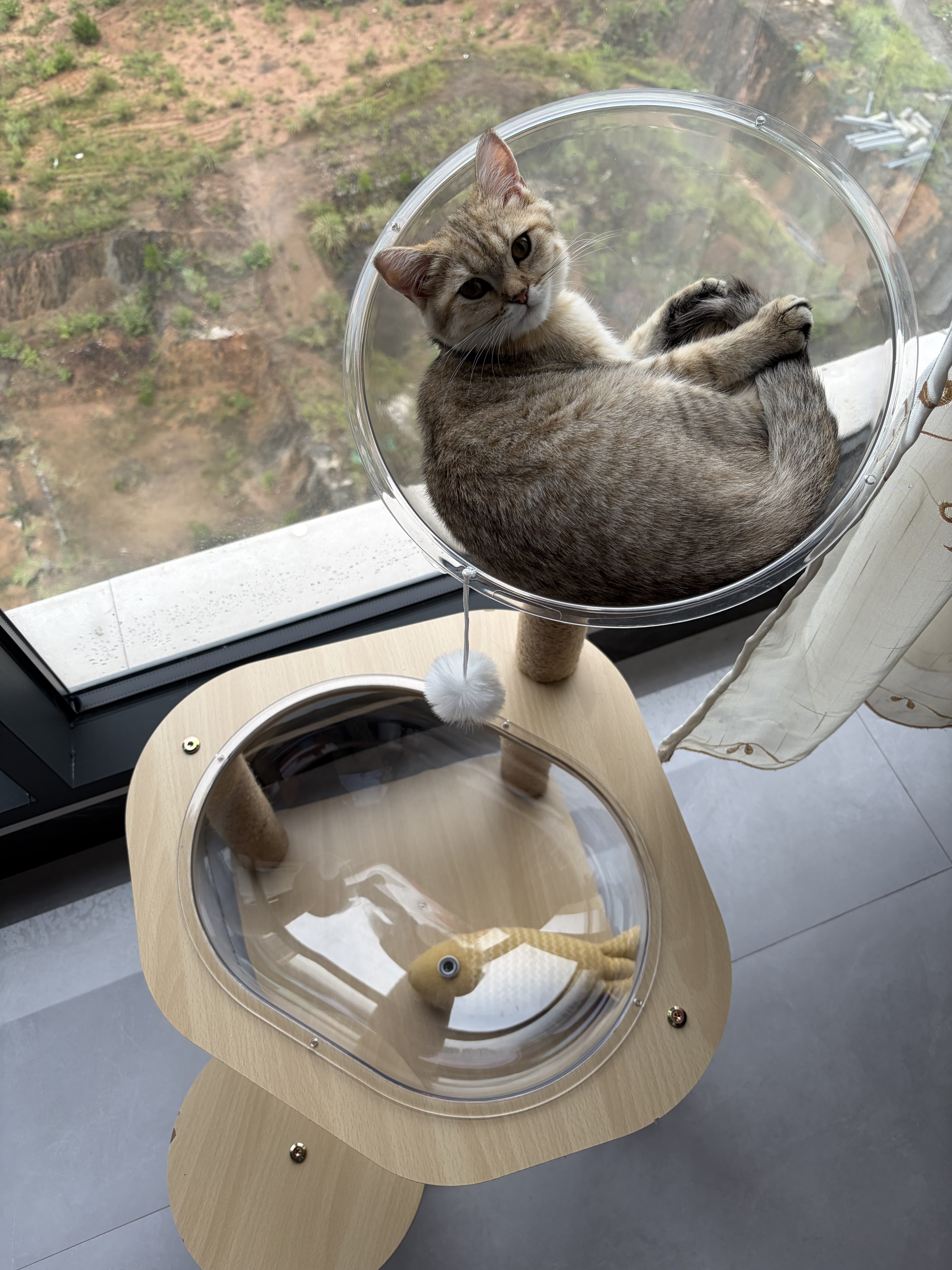 猫爬架小户型不占地猫窝太空舱逗猫玩具一体猫爬树立式猫抓板跳台-淘宝