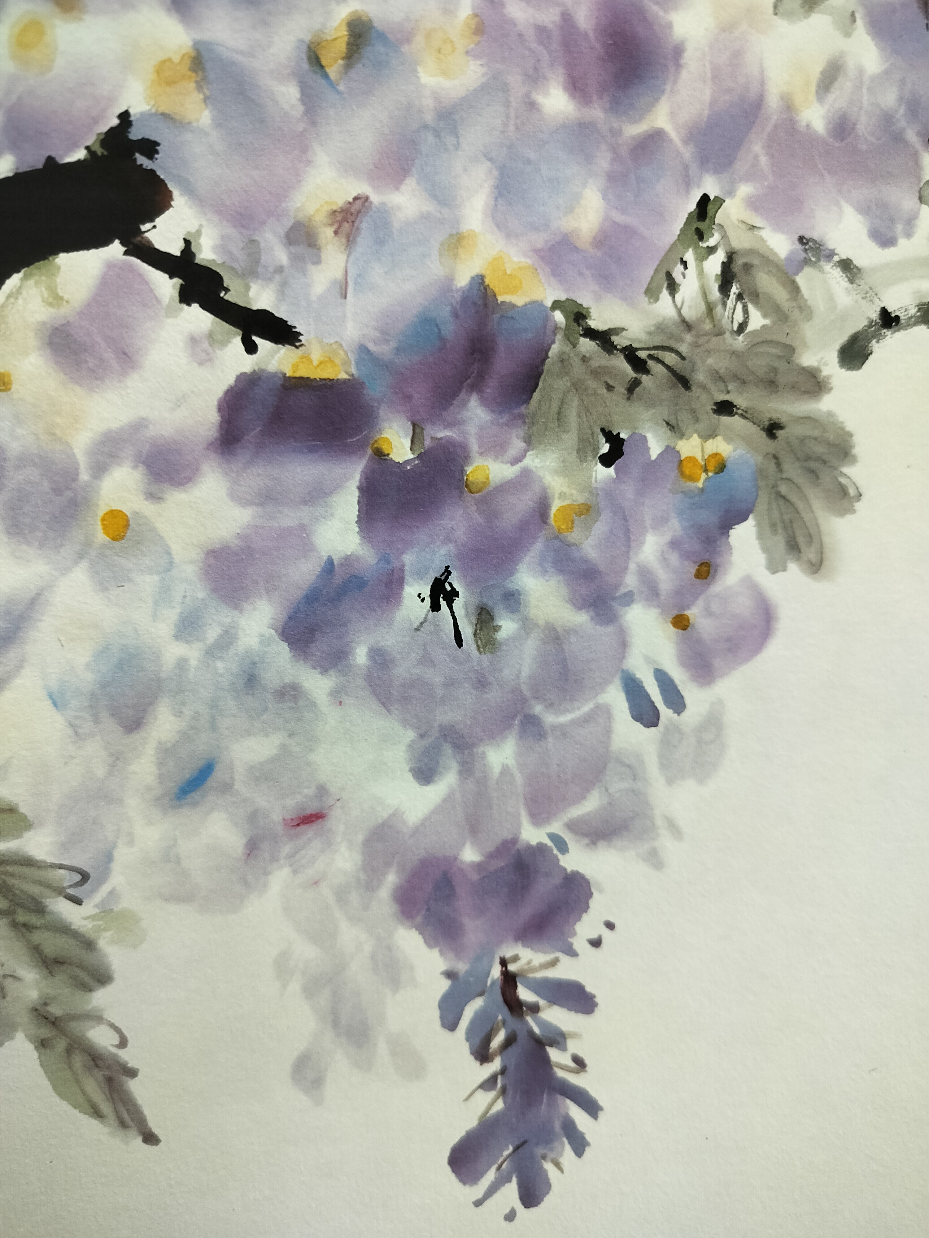 罗铭紫藤麻雀国画水墨工笔花鸟挂画50x50厘米印刷品装饰画-Taobao-Tmall