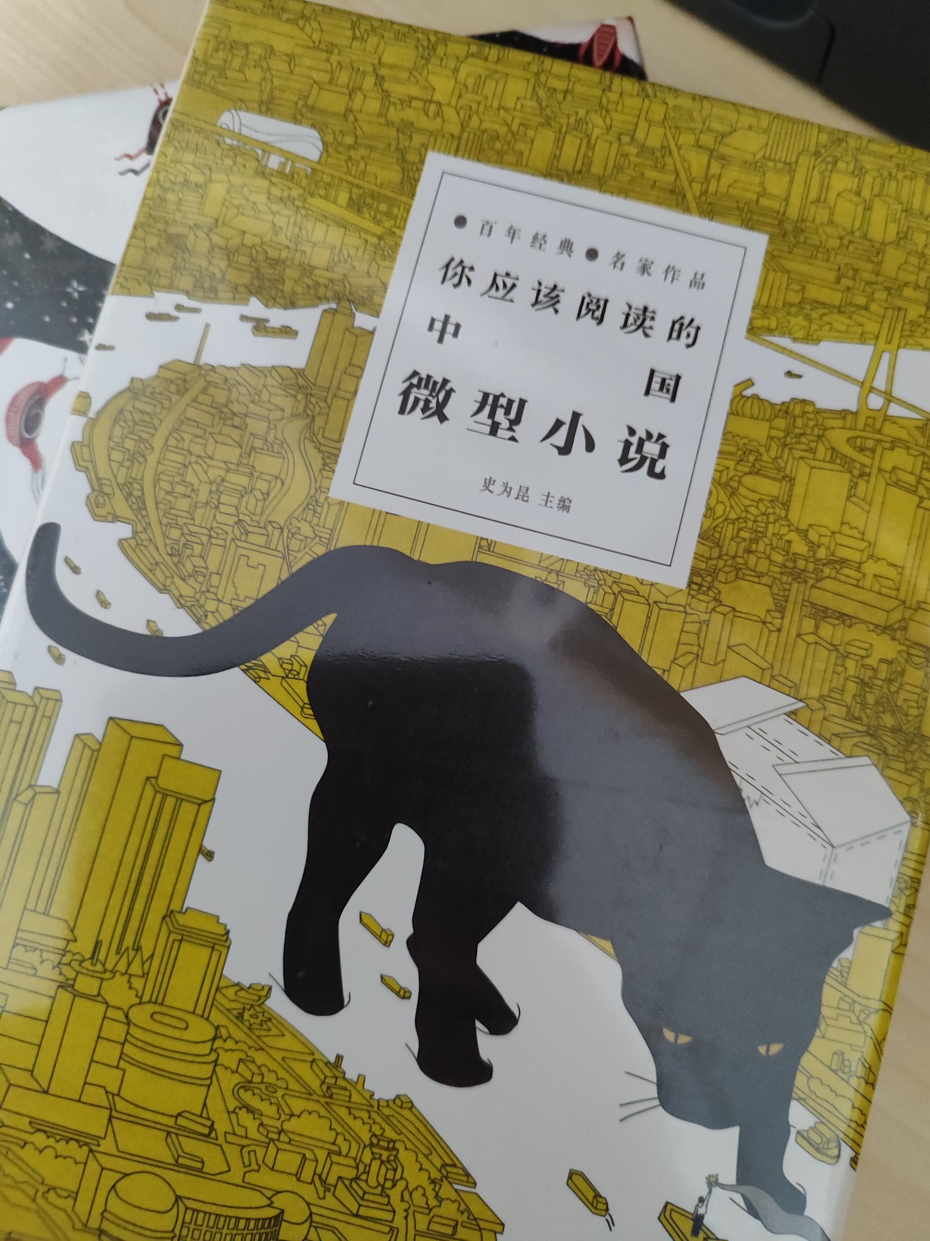 精装2册你应该阅读的中国微型小说世界微型小说短篇小说小小说微小说锁线精装中外微型小说故事大全文学书籍