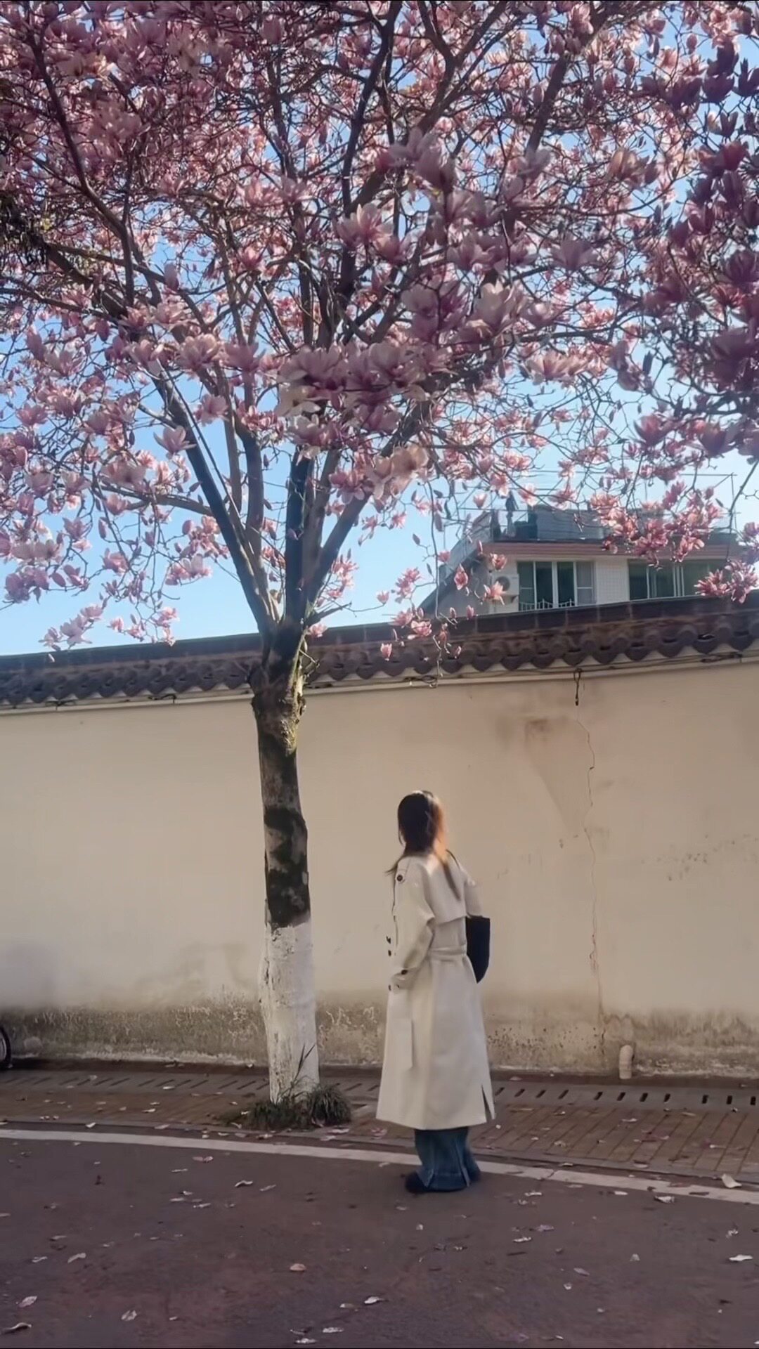 解锁法式优雅密码——周淼ZHOUMIAO"巴黎旧梦"风衣穿搭图鉴