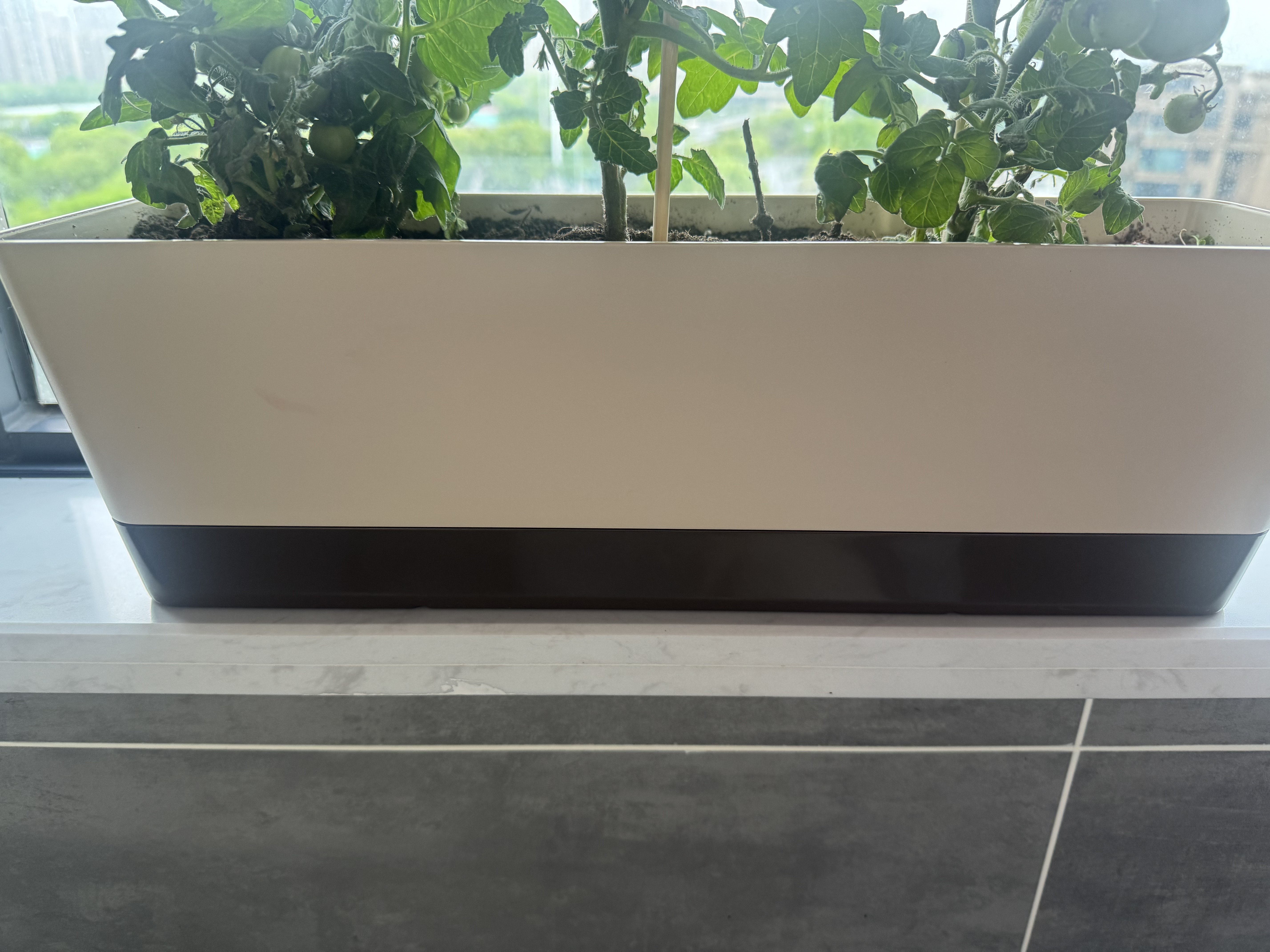 长条型多肉花盆专用窄边细长窗台种植塑料阳台花盆盆栽-Taobao-Tmall