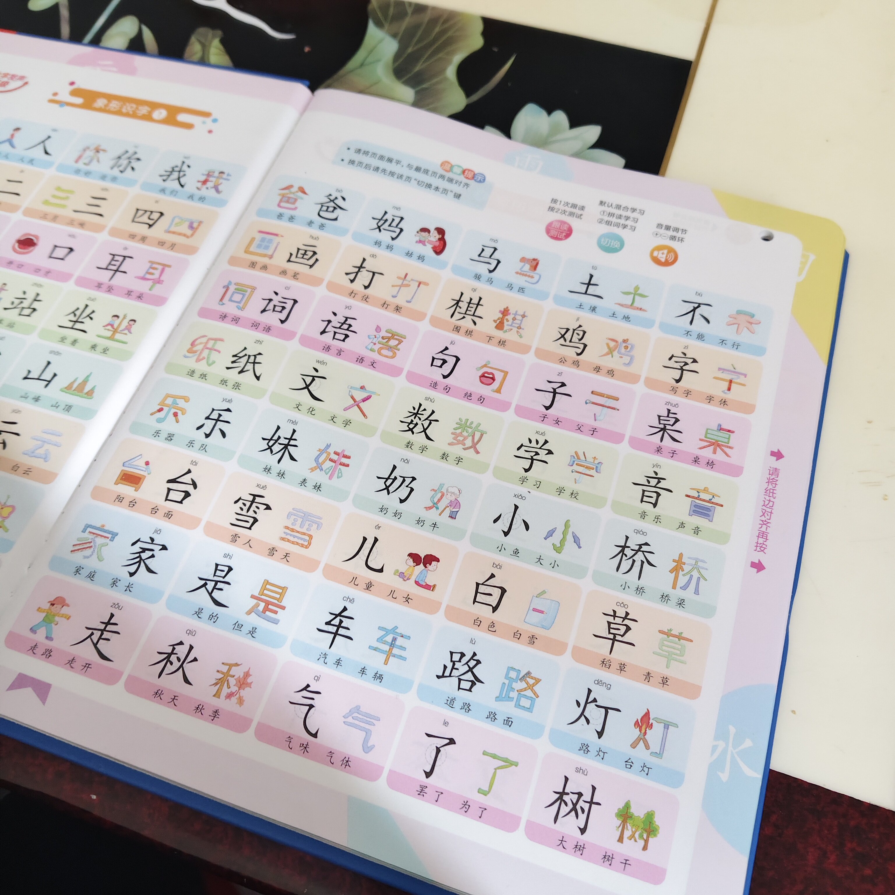 会说话的识字大王3600字3-6岁有声早教识字书学前汉字认知启蒙书