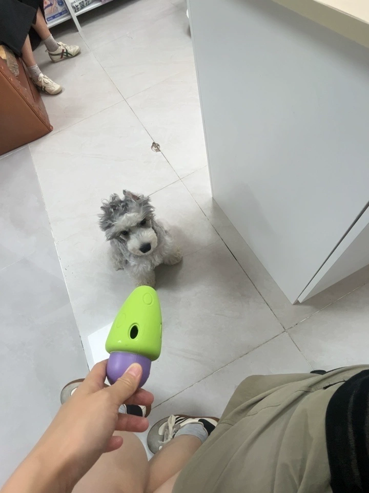 Tmall buyer photo