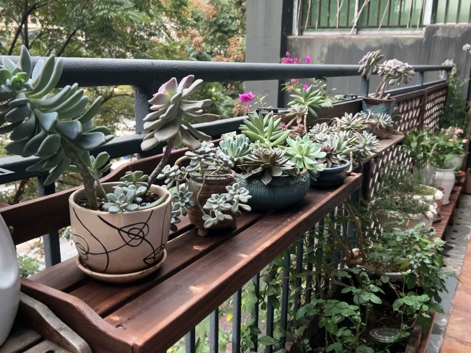 Portavaso Da Davanzale Regolabile VidaXL - Supporto Oro Per Piante Con Morsetto, Ideale Per Finestre Accessori Giardinaggio - Foto 8