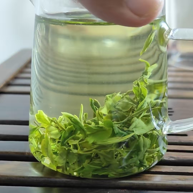 Rizhao Green Tea 2026 New Tea Premium Spring Tea Leaves Shandong Lanyan Jufeng Tea Factory Self-Produced and Self-Sold Loose Tea 500g