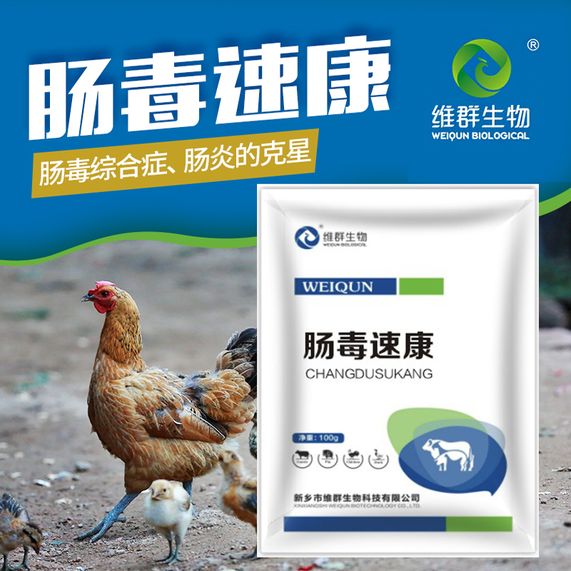 Chickens, ducks, geese, pigeons, quail, effective prevention and treatment of livestock and poultry enterotoxic syndrome, enteritis, traditional Chinese medicine without anti-feed grade additives