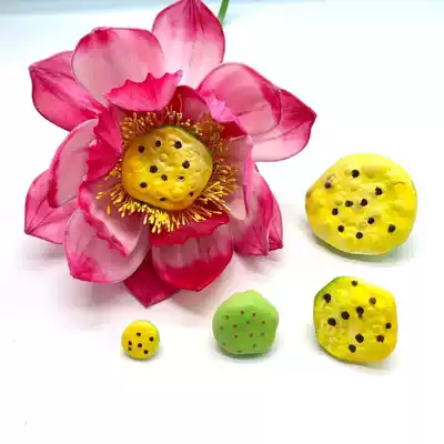 Amoy edge DIY East fence flower material stocking Lotus Lotus foam simulation lotus core lotus seed lotus