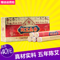 Nanyang Lvying Chen Ai Tong Ai Mu Cong