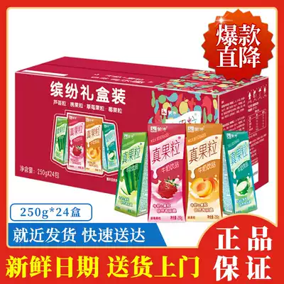 Mengniu Real Fruit Milk Drink 250g24 Four flavors Colorful pack from 2 pieces#72IW#