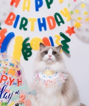 INS Wind Korea Birthday Pull Flags Cute Rolls Lagarnet Red Cat Party Decorations Arrangement Background Wall Decoration