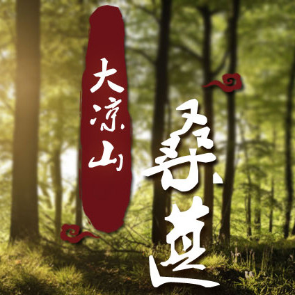 大凉山果园
