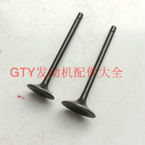 Zong Shen Lifan Grand World Longxin Tsunami Lovo tricycle CG250 motorcycle engine Dadong valve