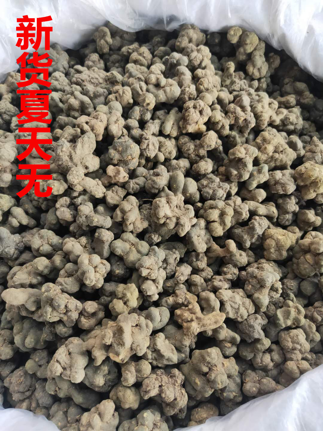 Chinese herbal medicine summer without a grain of golden tantano Yanhu flying to the peony Voldy New goods 500g grams