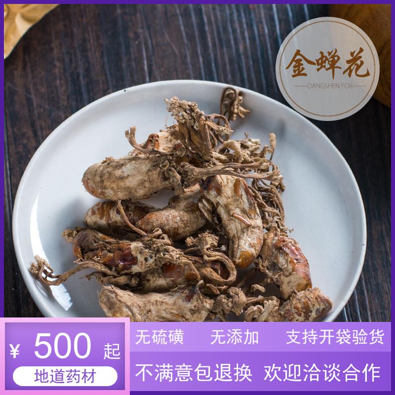 Back then New goods Golden Cicadas Cicada cicadas Flower Cicada Cicada Chrysalis 500 gr