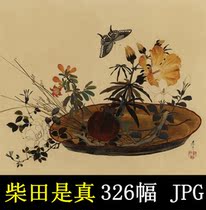 Shibata is true works HD picture collection Japanese Ukiyo-e flowers birds fish insects plants copy decorative painting material