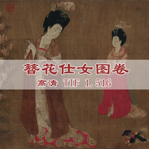 Hairpin flower lady picture volume HD electronic version full volume Gongbi lady Tang Zhou Fang copy material