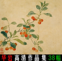 Hua Yan Huayan high-definition portfolio electronic version of the picture copy spray design material decorative picture core 38