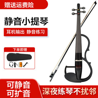 Entry-level violin for beginners