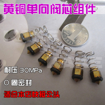 8MM MALE SPOOL ASSEMBLY ONE-way check VALVE HIGH pressure 30MPA INFLATABLE nozzle accessories MALE M10X1