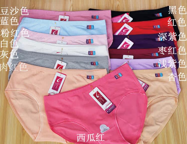 Slip en coton - Ref 640966 Image 6