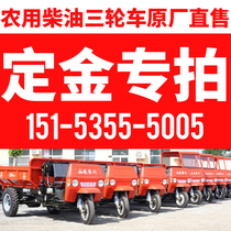  (Special shot for the deposit)Diesel tricycle agricultural vehicle Wuzheng Shi wind load king dump three horses factory direct sales