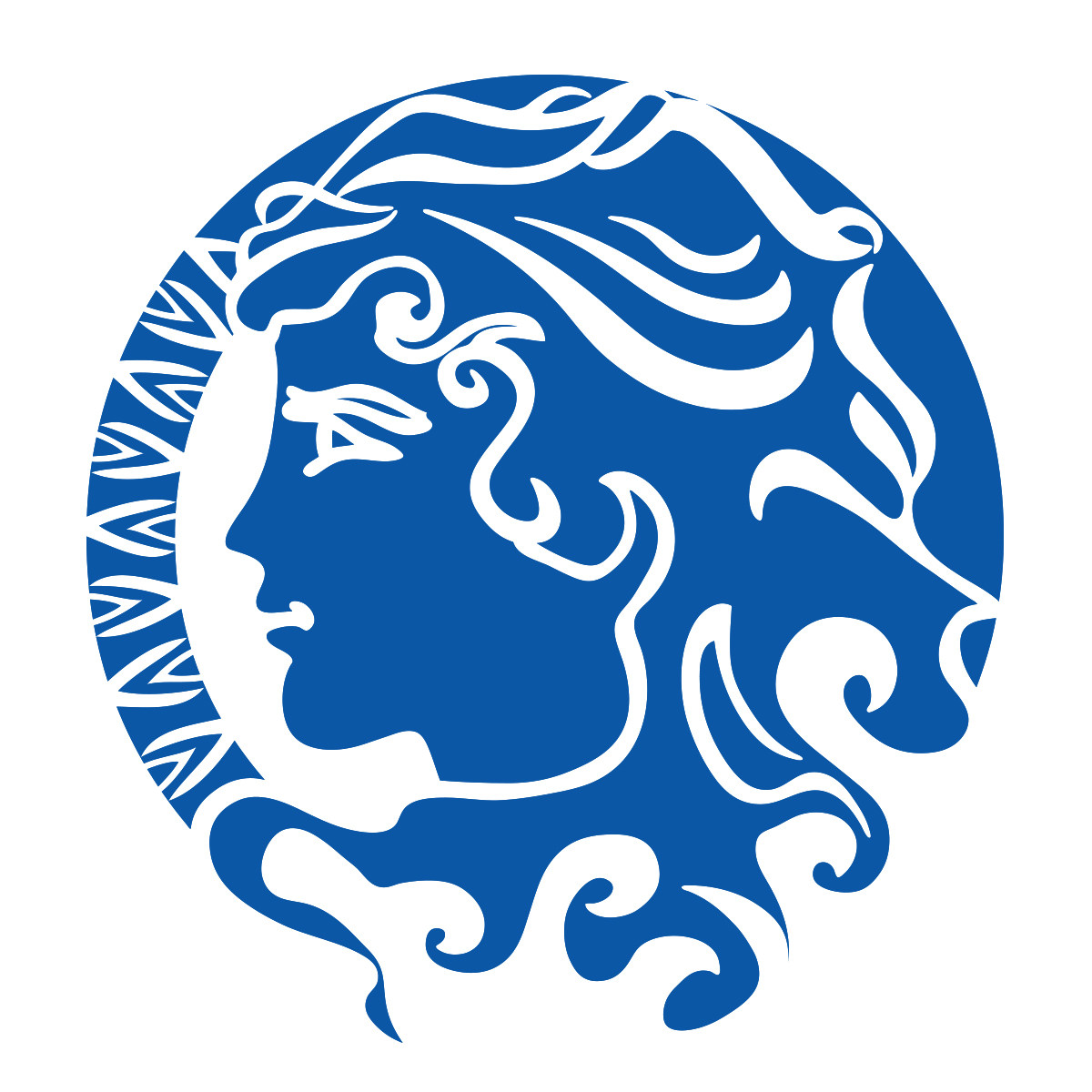 纳迦中国的LOGO