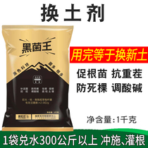 Black fungus king soil conditioner Loose soil supplement active bacteria to prevent root rot red column and other soil diseases