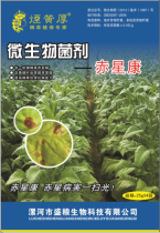 Tobacco leaf red star disease Special Tobacco Red Star Kang effectively prevents spot disease against a variety of symptoms caused by fungi