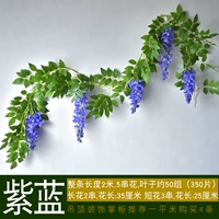 Цветец и виноградная лоза короля (фиолетовый цвет корзины)