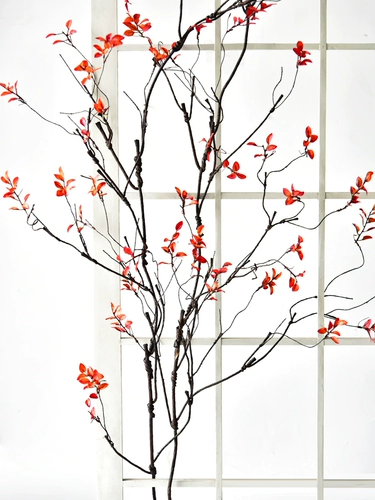 Моделирование осеннего листового виноградного воздуха -кондиционирования труб