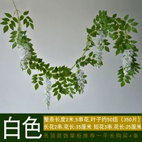 Цветец Царства Вистерия и Виноград (Белый)