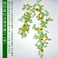 Лоза подсолнечника (2,2 метра)