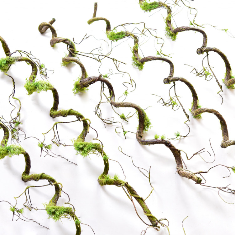 Simulation Tree vines Rattan Cane Bend Styling Branches Dry Branches Decorative Moss Entwined Ravine Plants Green Planting Wall Surfaces