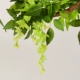 Mô phỏng Wisteria Hoa Chuỗi Hoa Trang trí Mây Hoa nhân tạo Vine Vine Hoa Hoa Bar Điều hòa nhiệt độ Nhà máy Ống treo trong nhà Hoa - Hoa nhân tạo / Cây / Trái cây