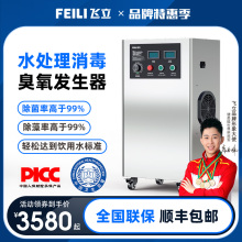 Feili ozone generator 20g, sterilization and disinfection, active oxygen machine 30g, purified water plant water treatment 40g