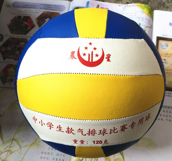 Ballon de volley-ball - Ref 2008797 Image 3