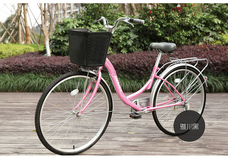 Panier pour vélo FIRSTCLASS - Ref 2257581 Image 17