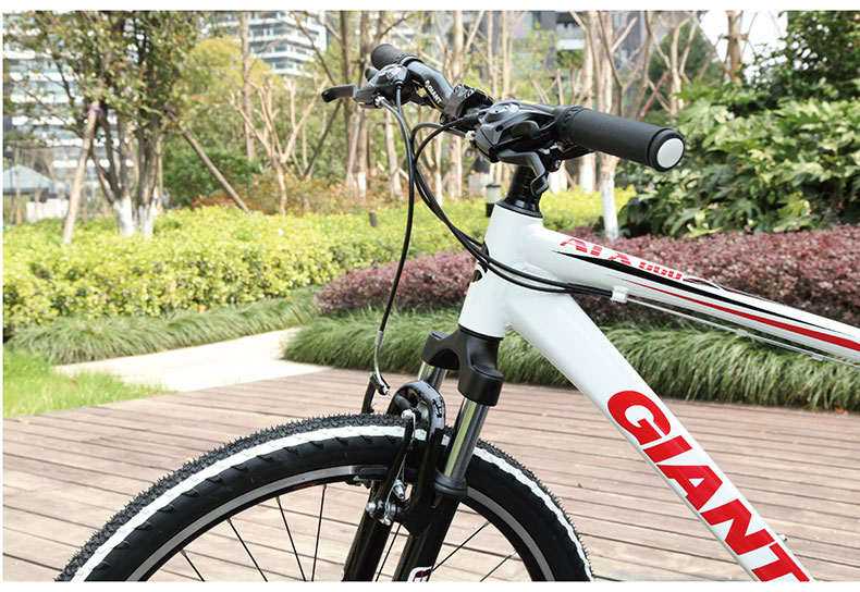 Porte-bagages pour vélo EASYDO - Ref 2411197 Image 15