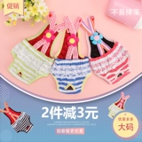 Собаки физиологические штаны Женщина собака Сацума Золотая собака Собака СОБАКА СОБА