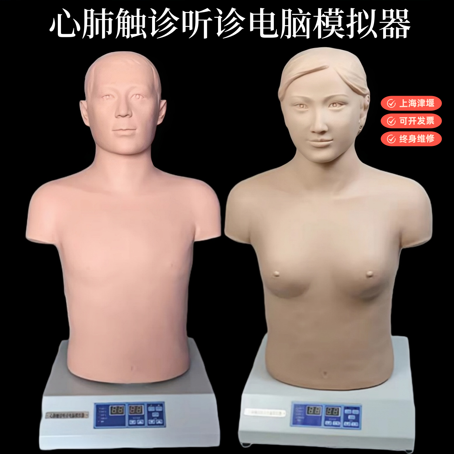 医信医用心肺听诊触诊模拟人训练假人体模 胸部体格检查心肺复苏