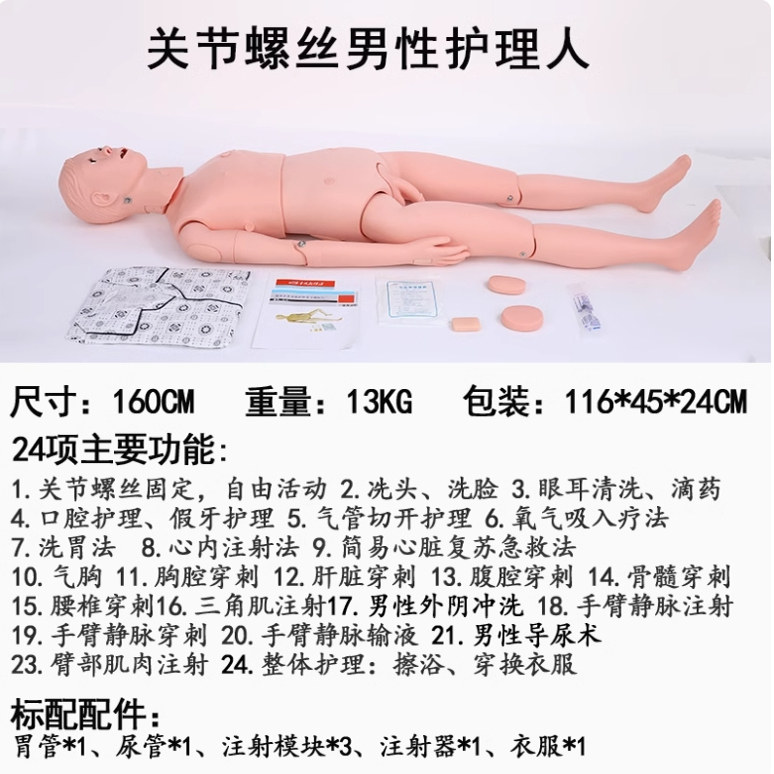 厂家直销男性女性基础护理人模型导尿模型褥疮模型护理医用